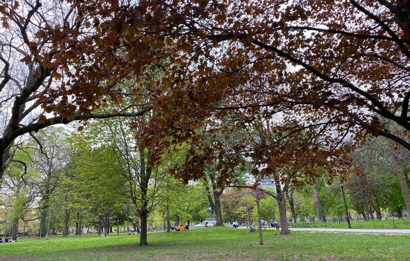 Three of My Four Favourite Places in Toronto Cost Nothing to Enter