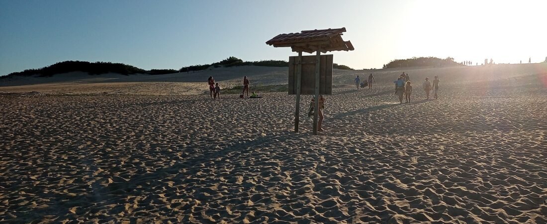Sand dunes of Itaúnas in Espírito Santo, Brazil, in the afternoon light